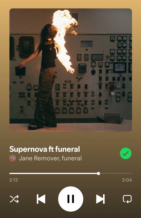 Screenshot_20250523_011926_Spotify.jpg