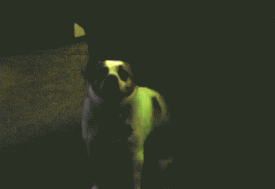 tumblr_mmjtljaL3O1s3v8rqo2_400.gif