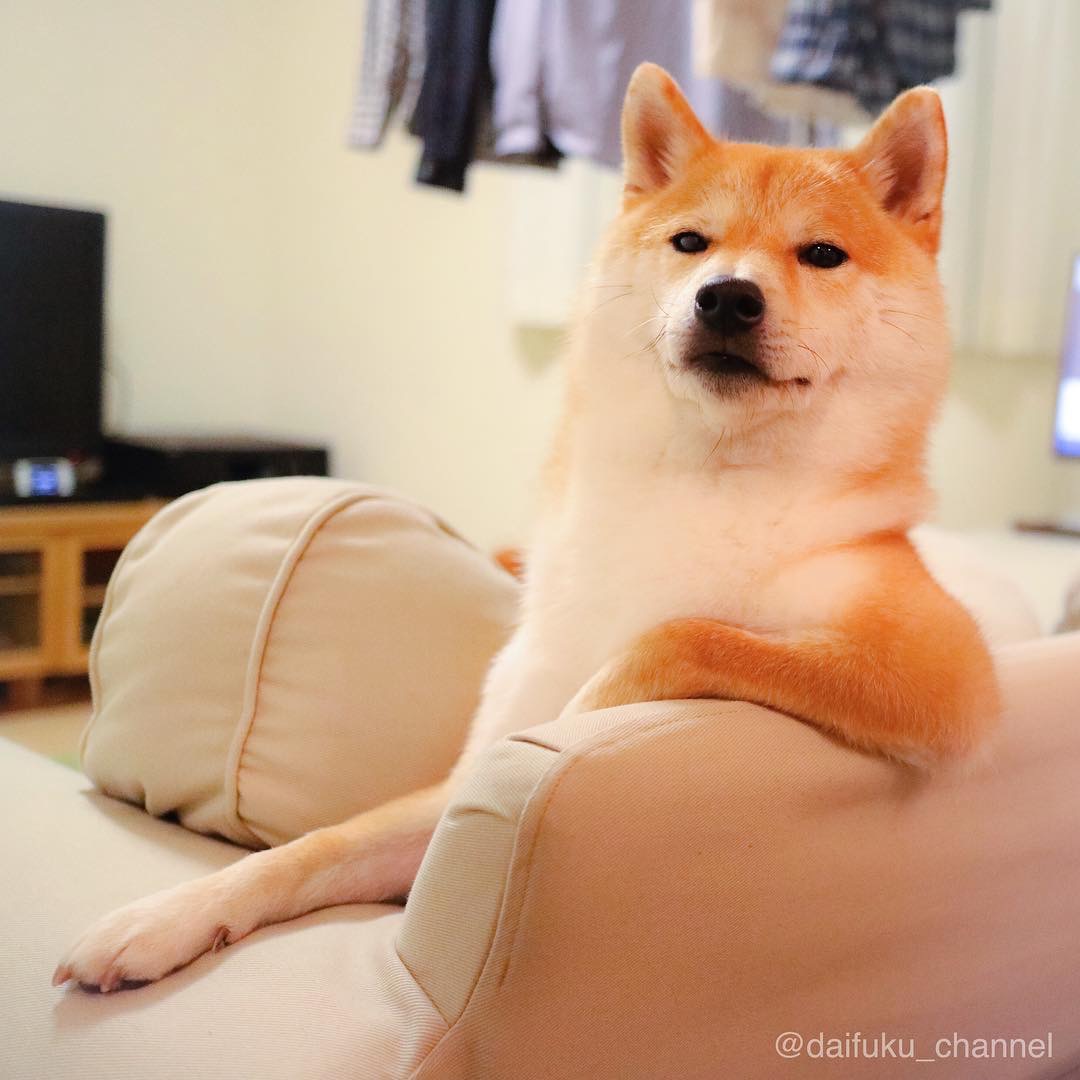 image.jpeg