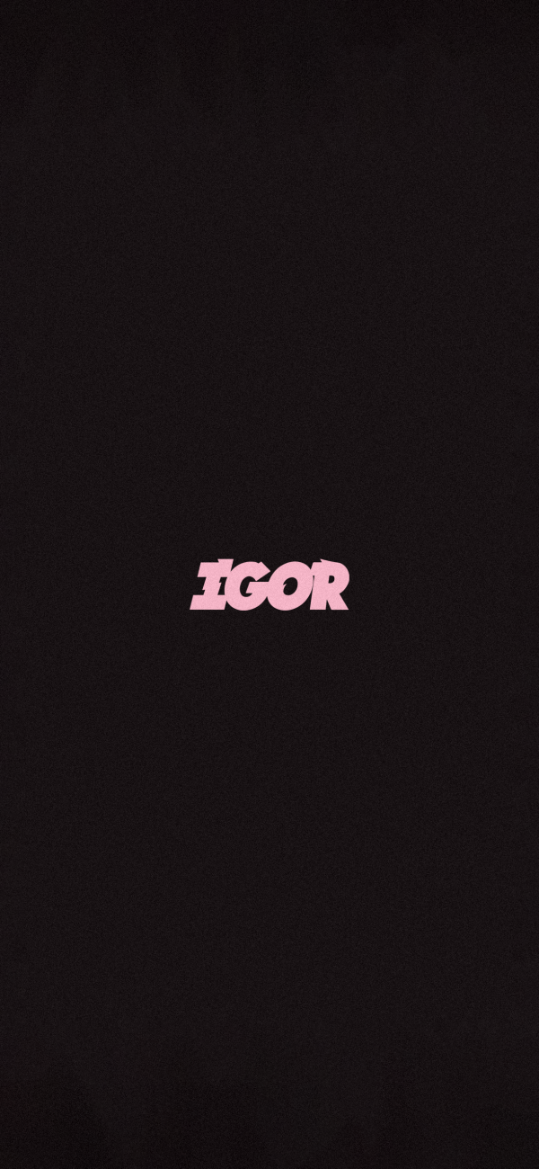 IGOR Home 1.png