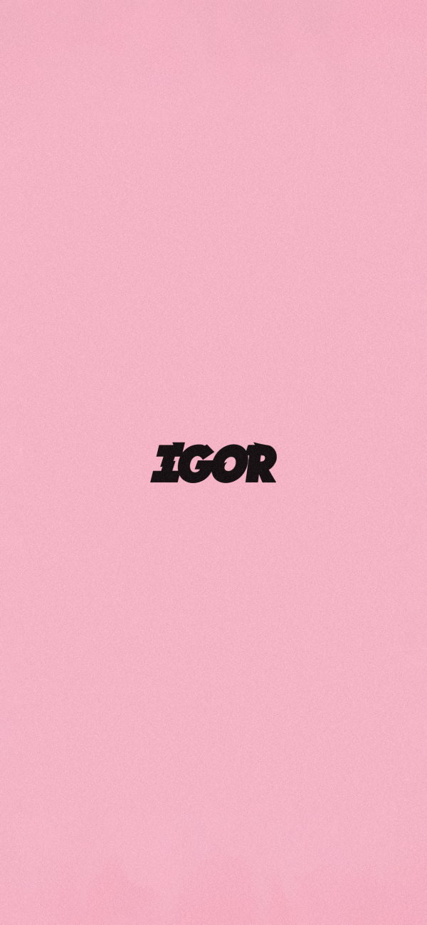 IGOR Home 2.png
