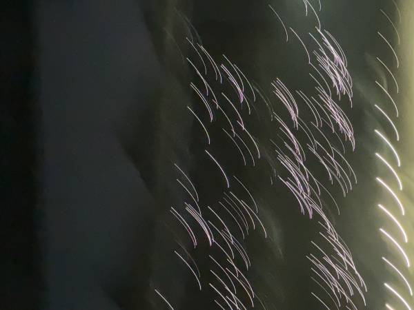 IMG_3750.jpeg