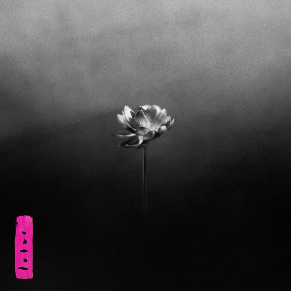 little-simz-lotus-Cover-Art.webp