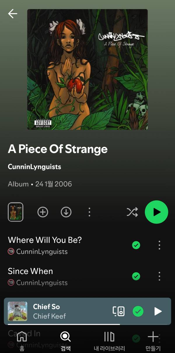 Screenshot_20250811_085710_Spotify.jpg