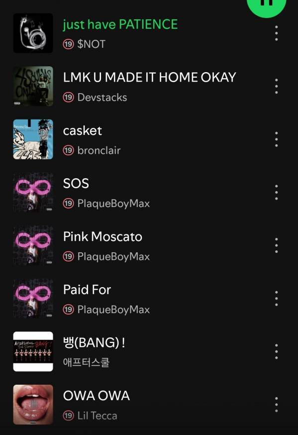 Screenshot_20250602_215454_Spotify.jpg