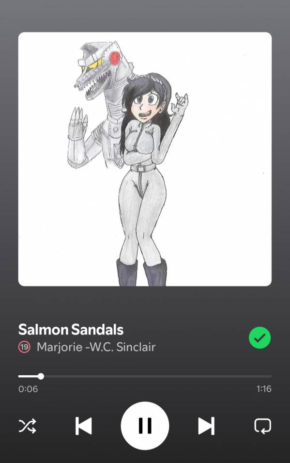 Screenshot_20250626_005727_Spotify.jpg
