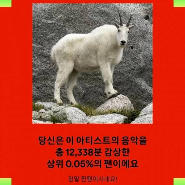 칸예.jpg