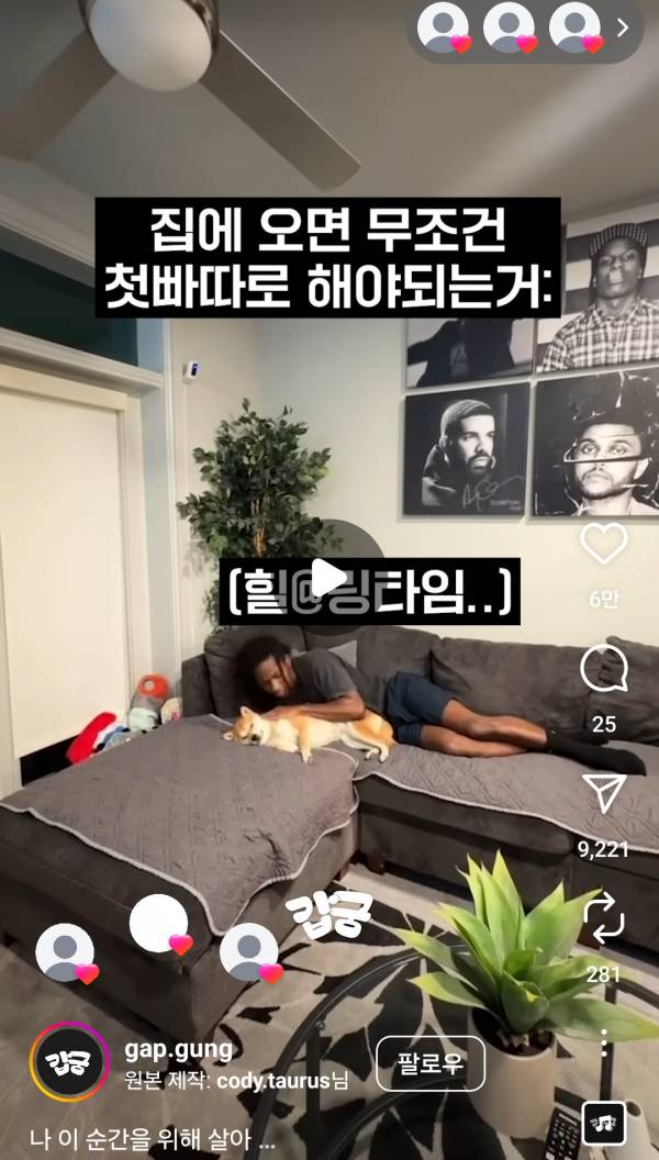 Screenshot_20250503_135512_Instagram.jpg