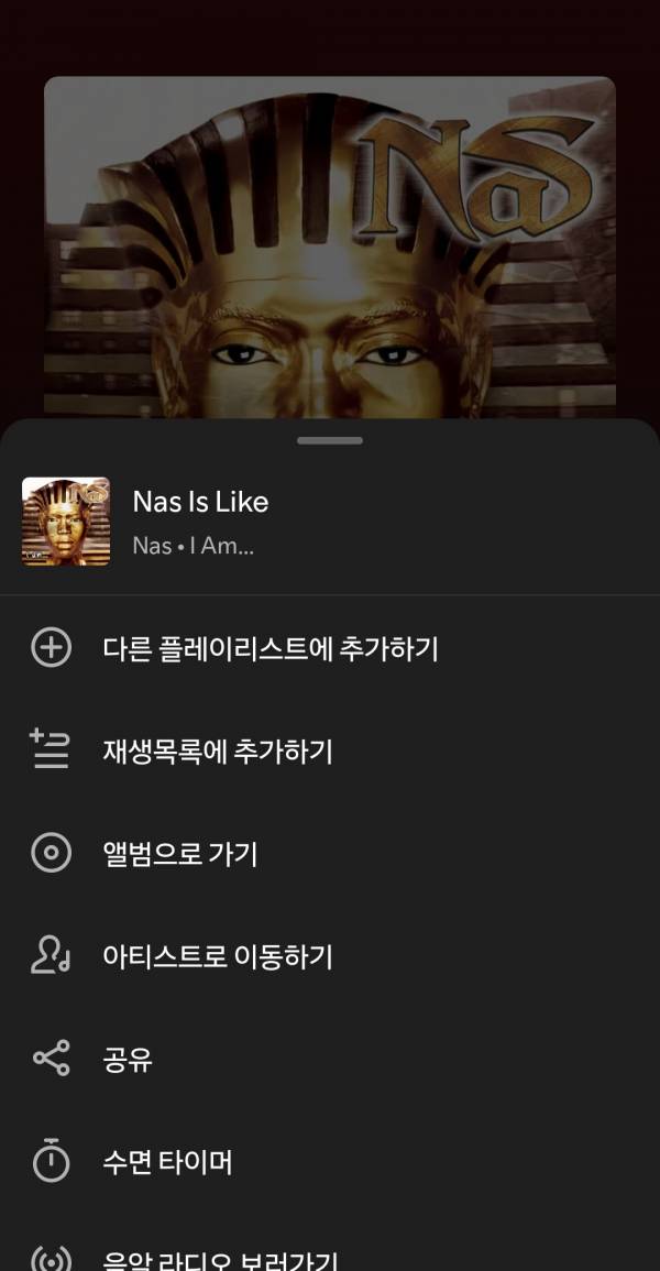 Screenshot_20250521_170339_Spotify.jpg