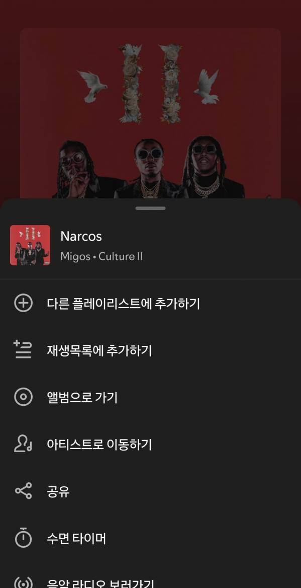 Screenshot_20250521_170236_Spotify.jpg