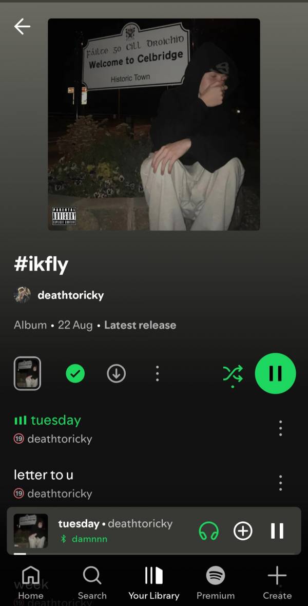 Screenshot_20251003_214128_Spotify.jpg