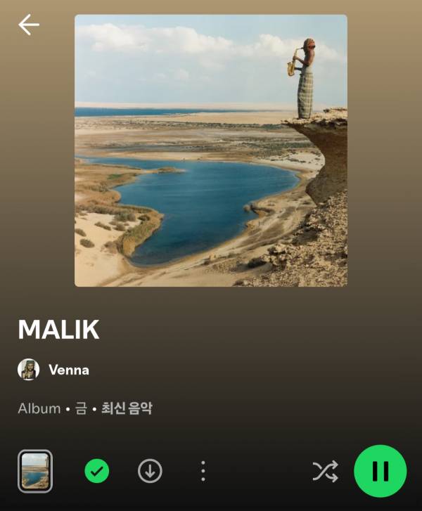 Screenshot_20250907_221940_Spotify.jpg