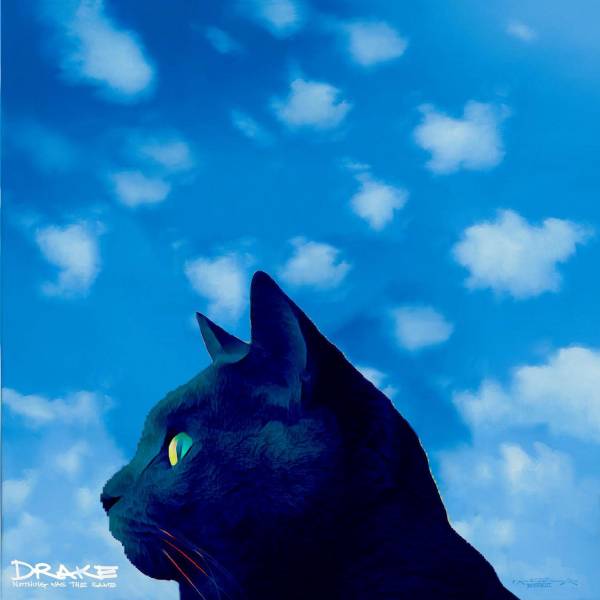 i-photoshopped-my-cat-into-some-of-my-favorite-album-covers-v0-t9bm9pllymba1.jpg