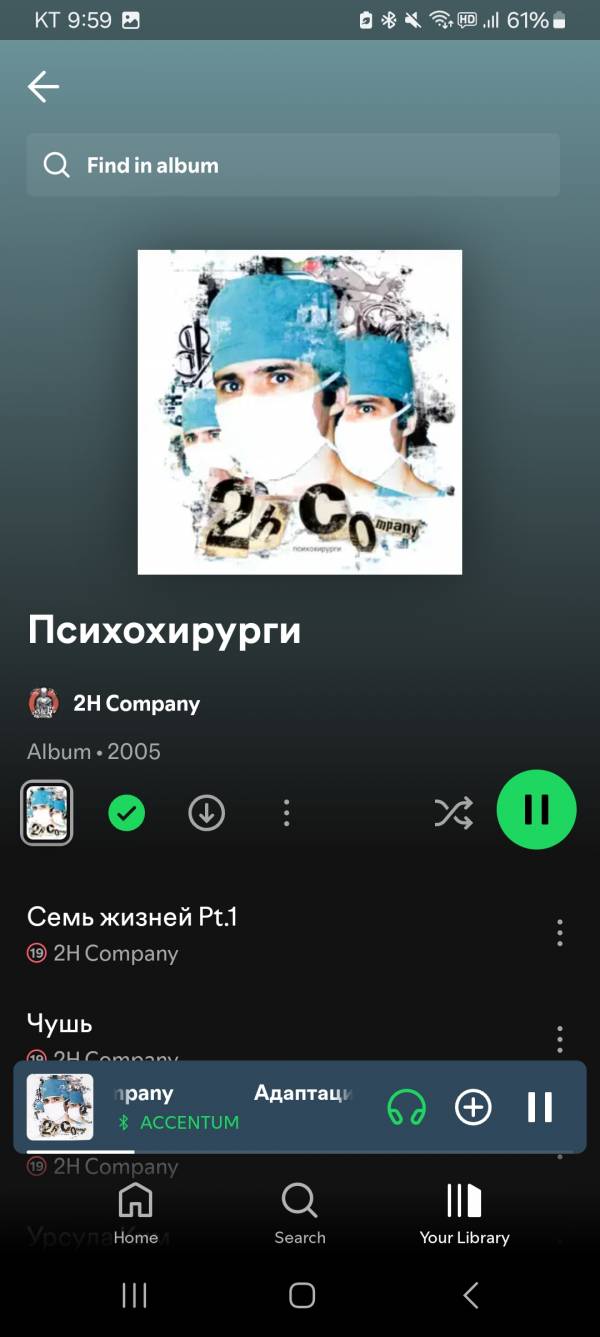 Screenshot_20240909_215917_Spotify.jpg