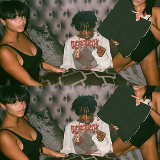 Playboi_Carti_-_mixtape.jpg