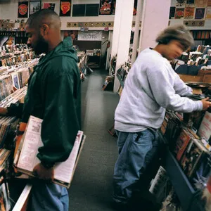 DJ Shadow - Endtroducing_, Cover art.webp