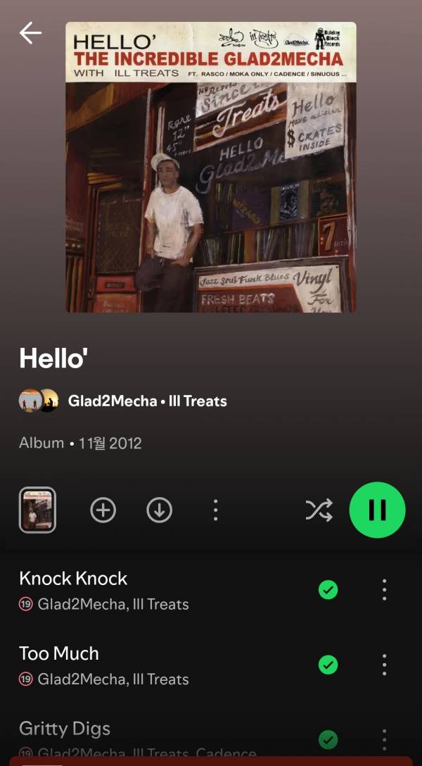 Screenshot_20250701_011434_Spotify.jpg