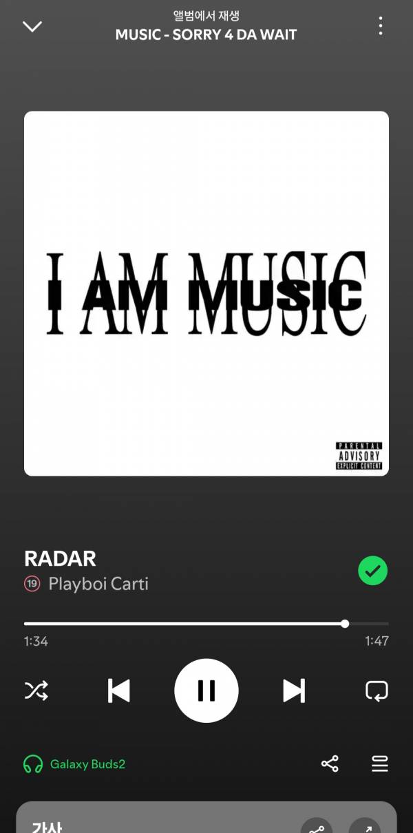 Screenshot_20250624_184828_Spotify.jpg
