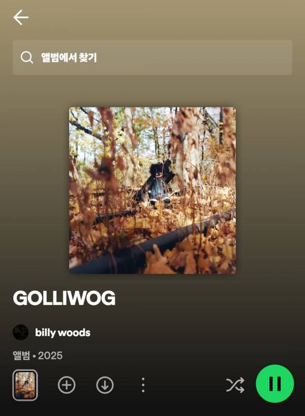 Screenshot_20250509_001151_Spotify.jpg