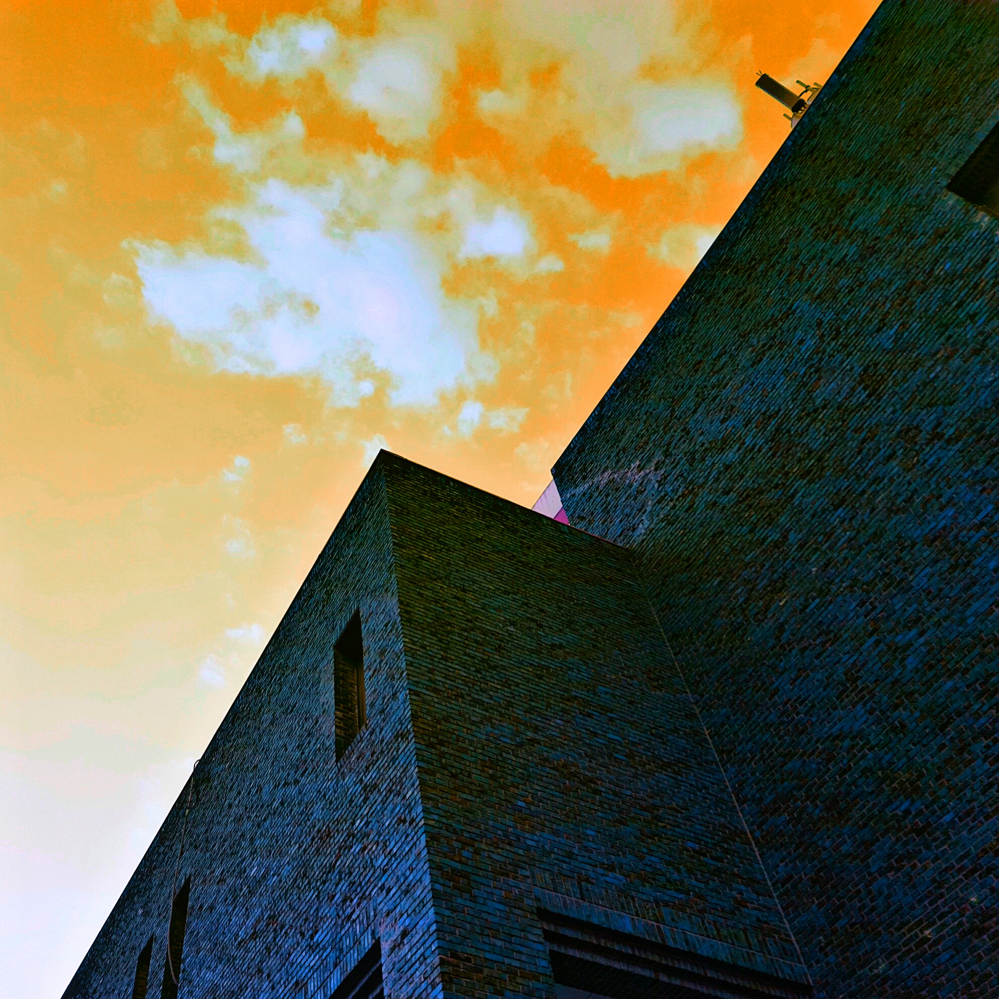 PicsArt_06-01-09.29.35.jpg