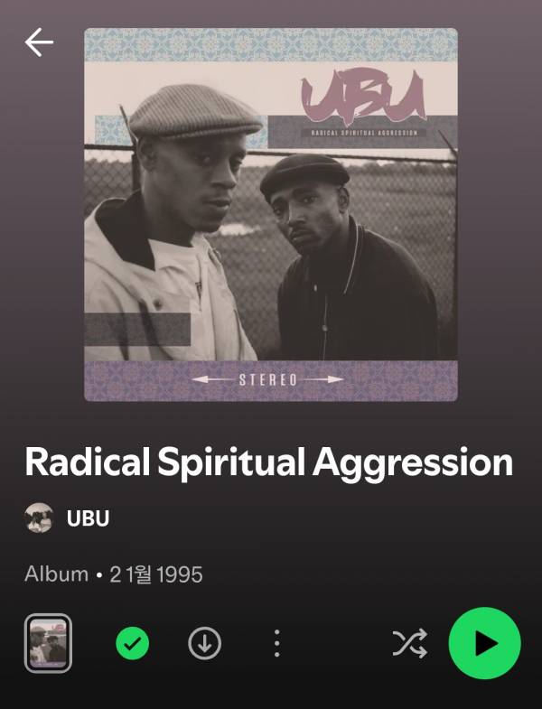 Screenshot_20250618_230414_Spotify.jpg