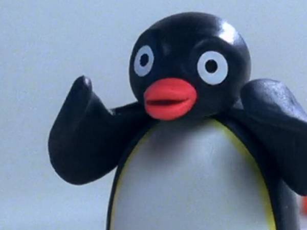 pingu-800x600.jpg