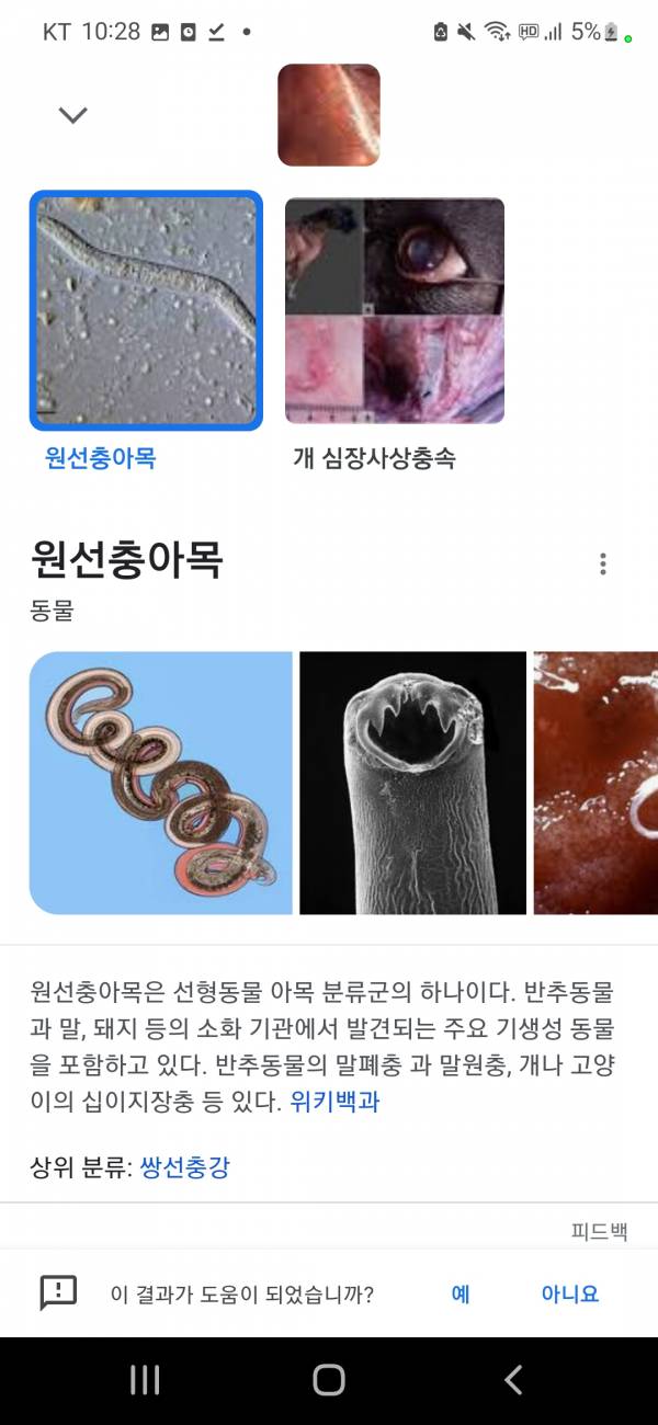 Screenshot_20220715-222852_Google.jpg