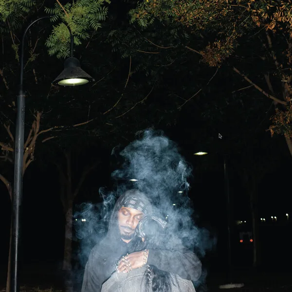 jpegmafia-lp-Cover-Art (1).webp