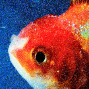 Vince-Staples-Big-Fish-Theory.jpeg