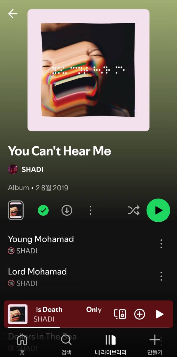 Screenshot_20250506_204304_Spotify.jpg