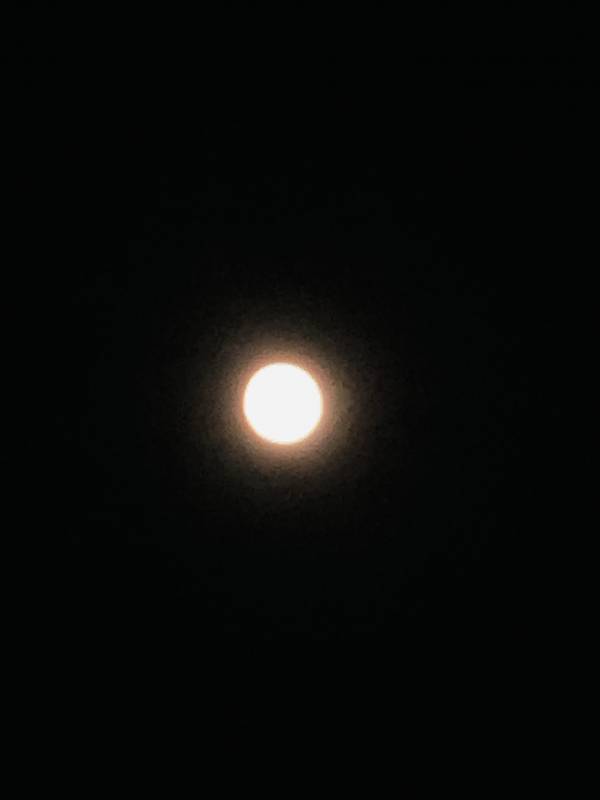 IMG_1838.jpeg