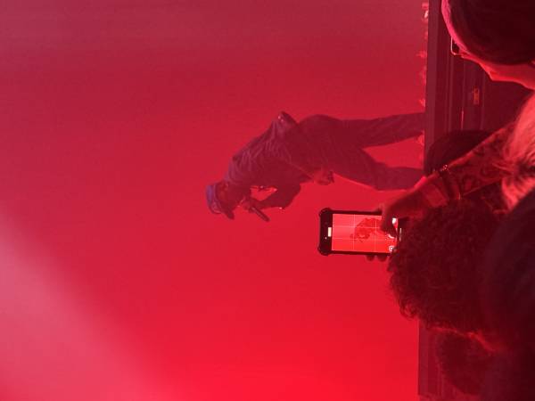 IMG_8100.jpeg
