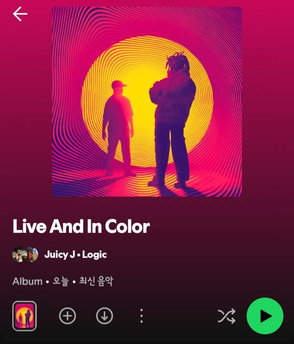 Screenshot_20250613_140231_Spotify.jpg