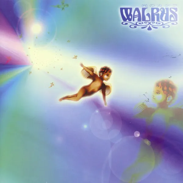 walrus-光のカケラ-hikari-no-kakera-Cover-Art.webp