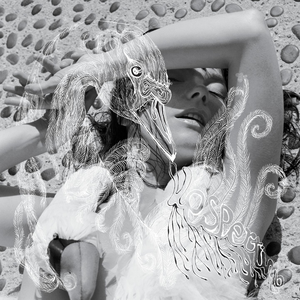 Björk_-_Vespertine_album_cover.png