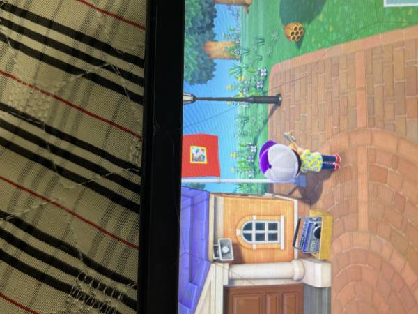 IMG_2705.jpeg
