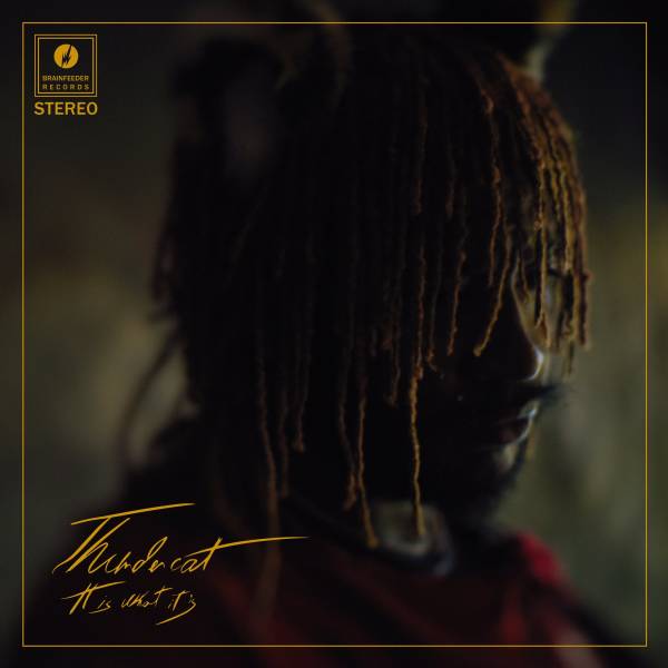 Thundercat.jpg