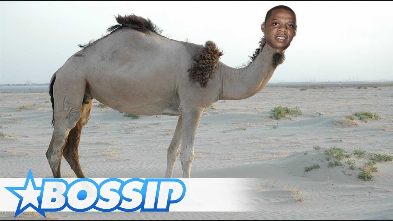 maxresdefault (1).jpg