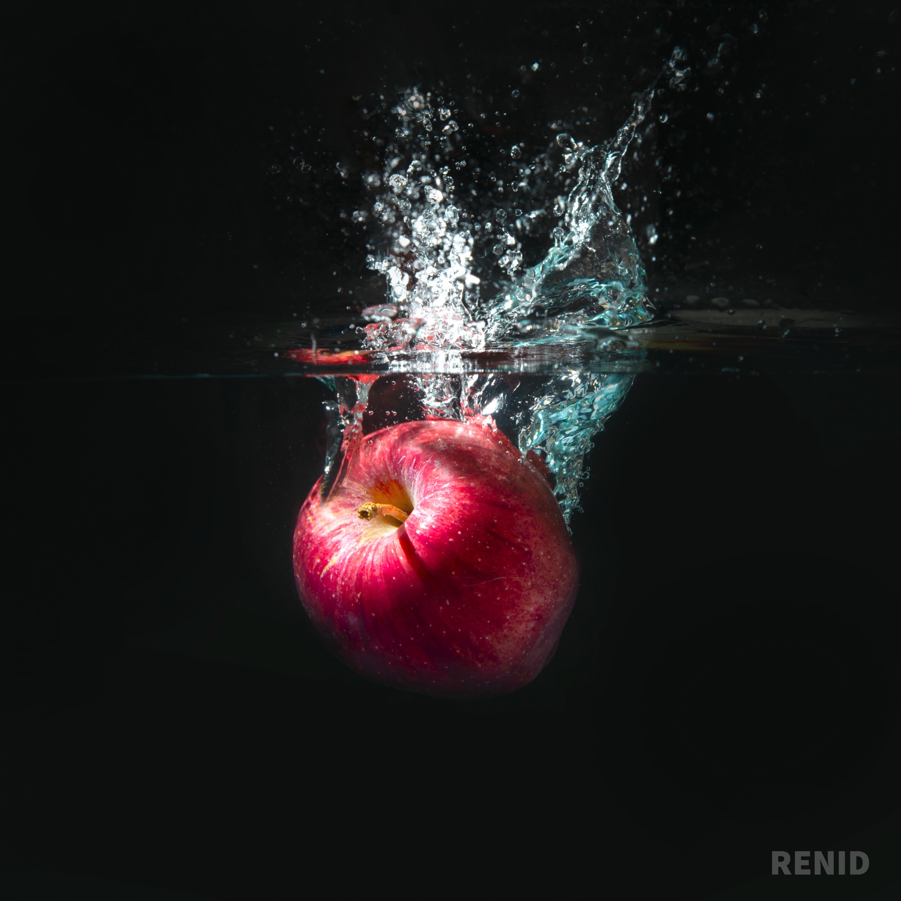 김고야드 -RENID Album cover.JPEG