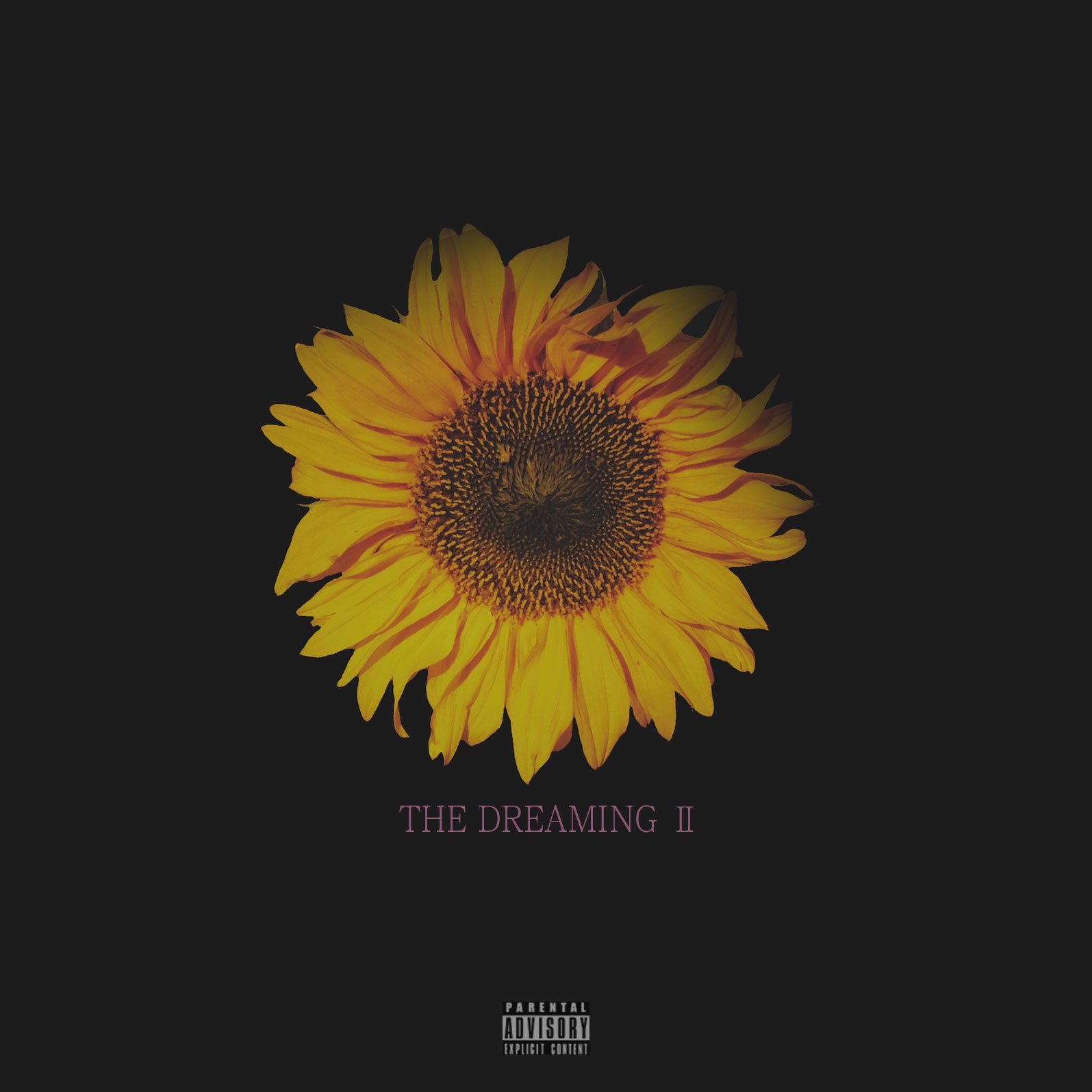 THE DREAMING II.jpeg
