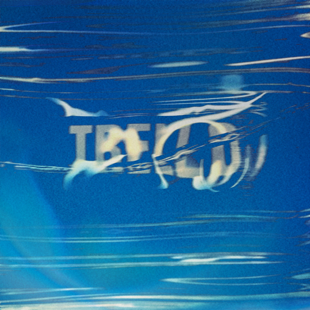 4090154.jpg