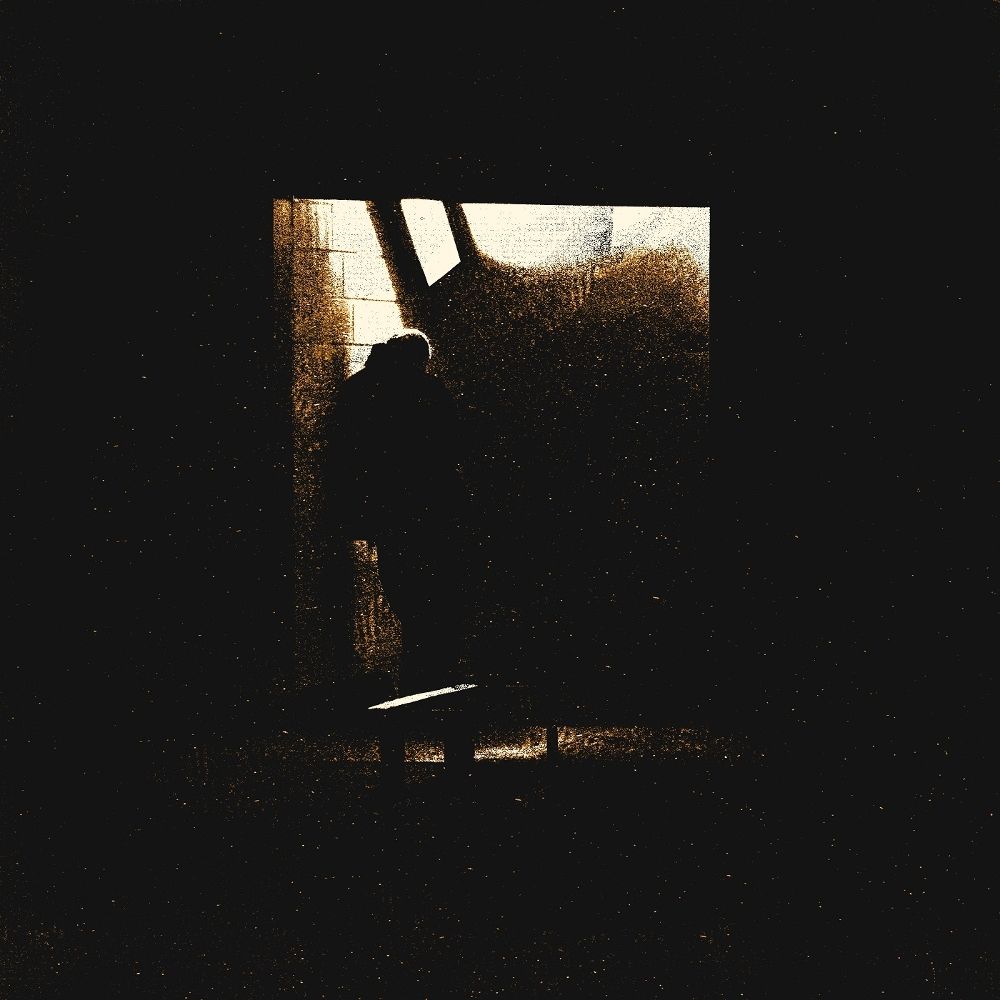 10344502_1000.jpg