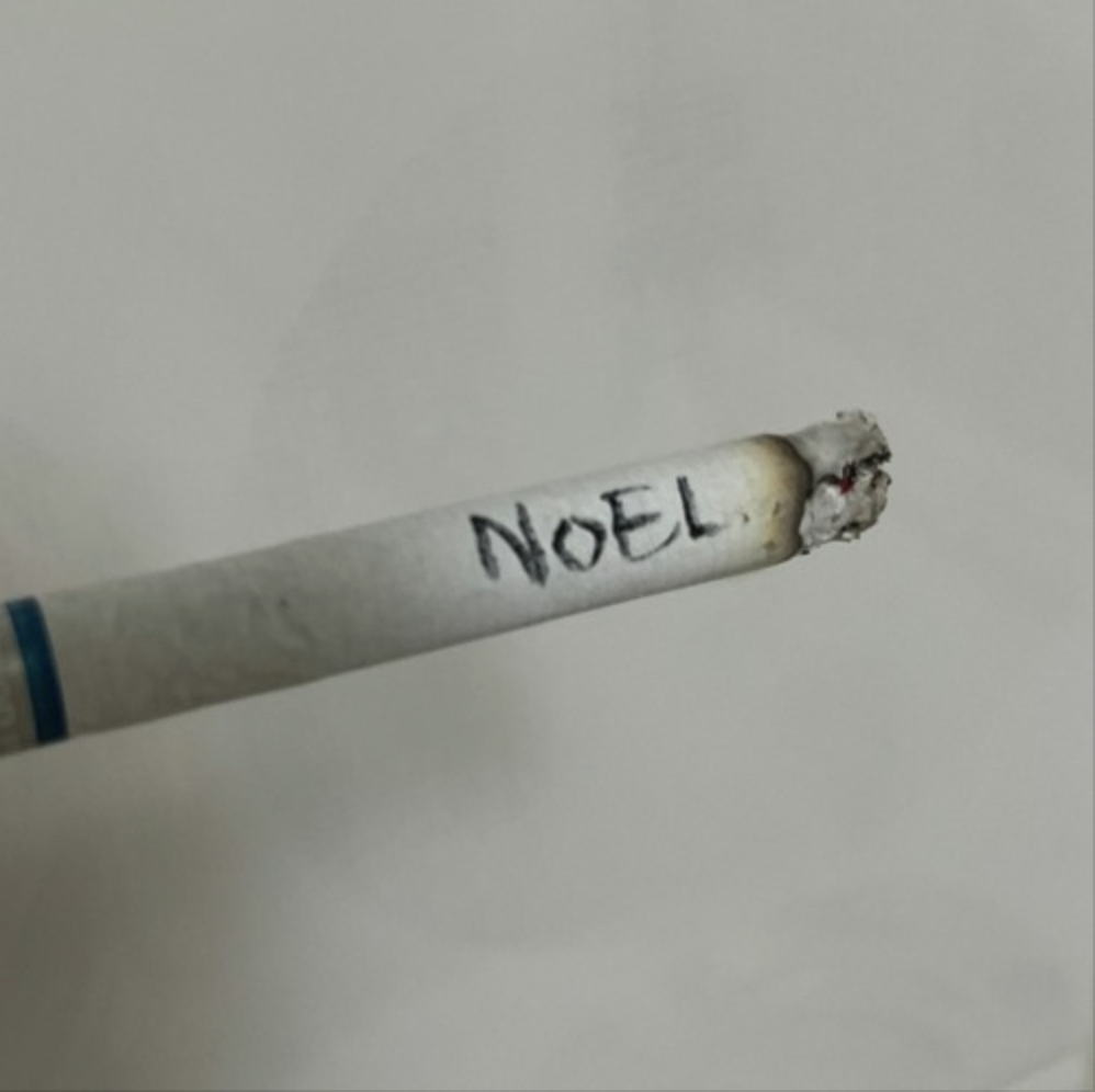 노엘(noel) 이미지