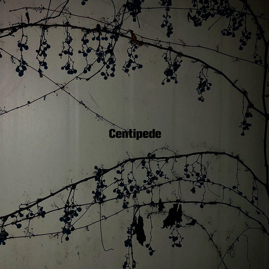 centipede_albumart.jpeg