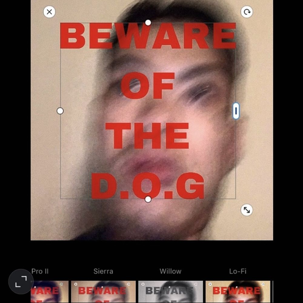 10540070_20201229112240_1000.jpg