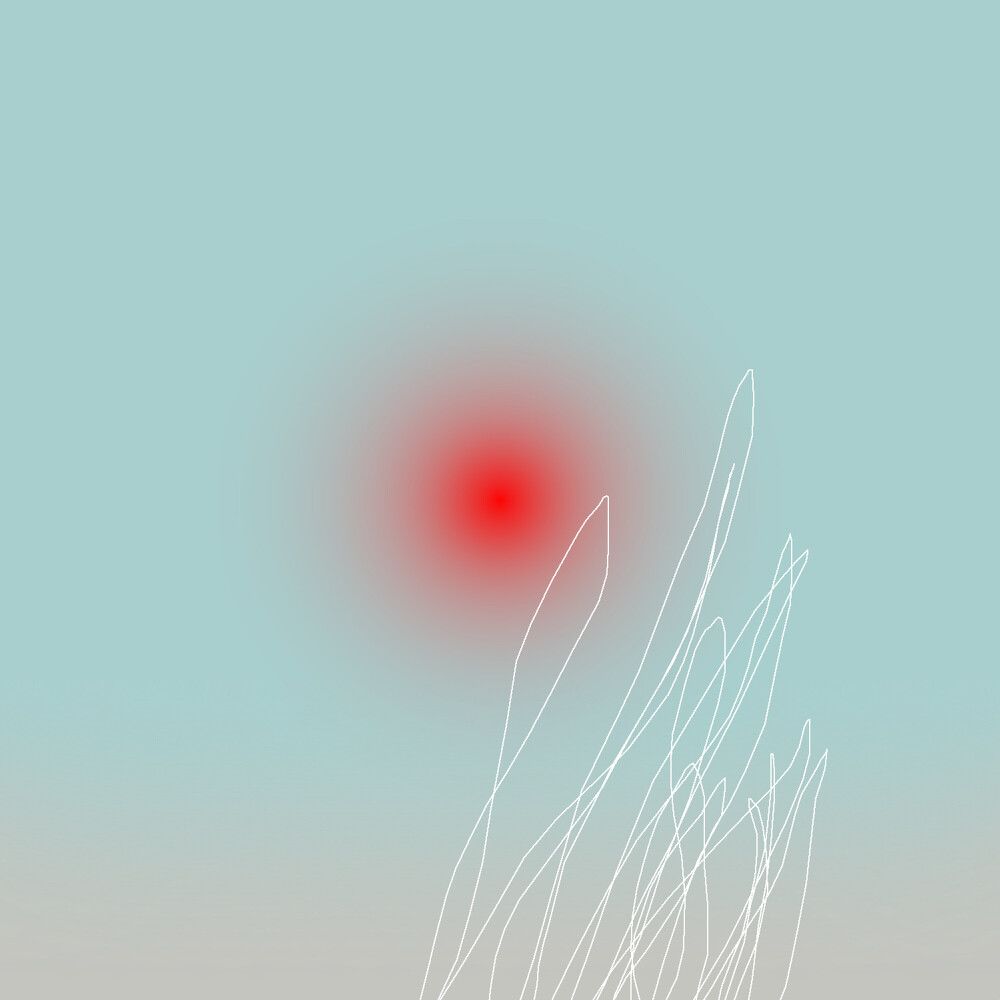 10670622_20210804111703_1000.jpg