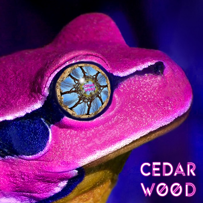 힙합엘이 뉴스제보_CedarWOOD_SeeTheWOOD_Vol.2.jpg
