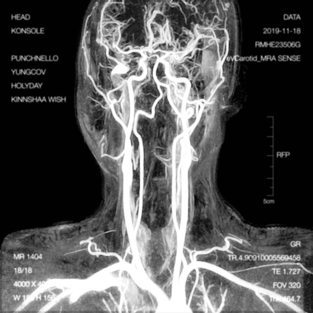 10352784_1000.jpg