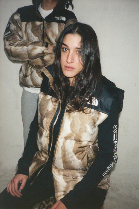 supreme-x-the-north-face-2013-fallwinter-collection-2.jpg