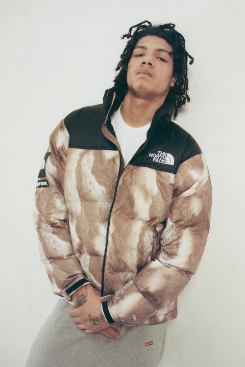 supreme-x-the-north-face-2013-fallwinter-collection-1.jpg